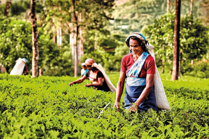 Srí Lanka-körutazás Tengerparti Hosszabbítással 14 Nap / 12 éj