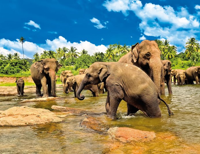 Srí Lanka-körutazás Tengerparti Hosszabbítással 14 Nap / 12 éj