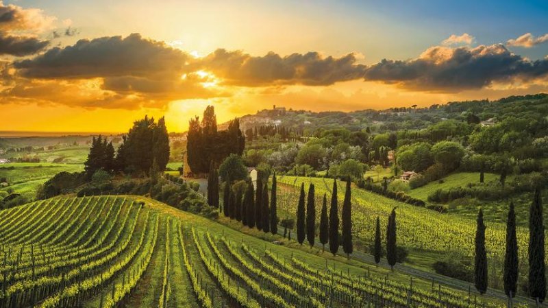 Toszkán Csillagtúra 8 Nap / 7 éj