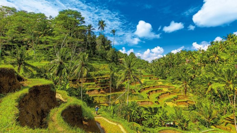 Bali Körutazás Tengerparti Nyaralással 13 Nap / 10 éj