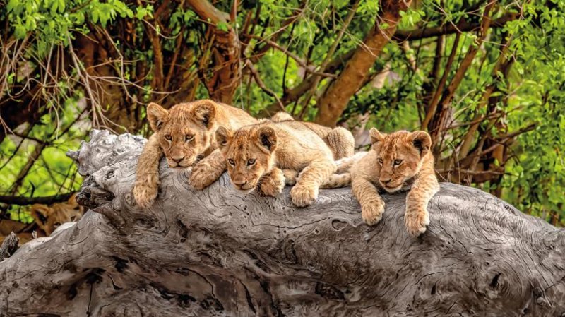 Dél-afrika Körutazás 12 Nap / 9 éj