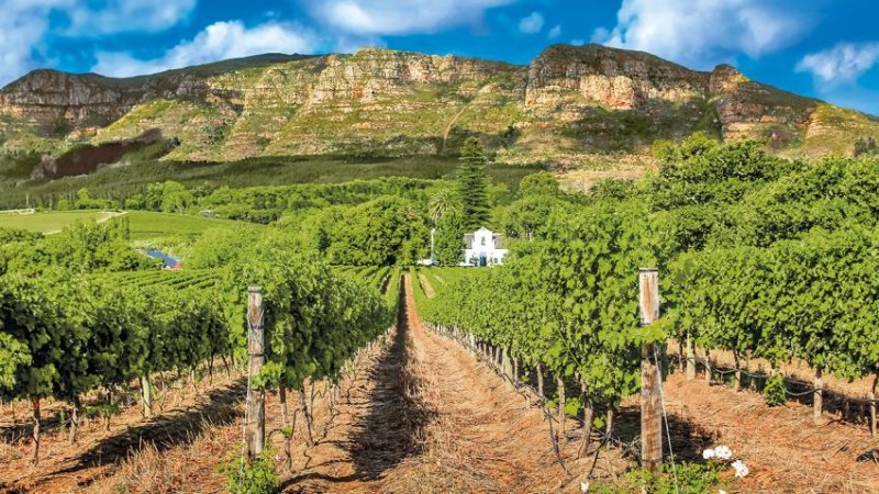 Dél-afrika Körutazás 12 Nap / 9 éj