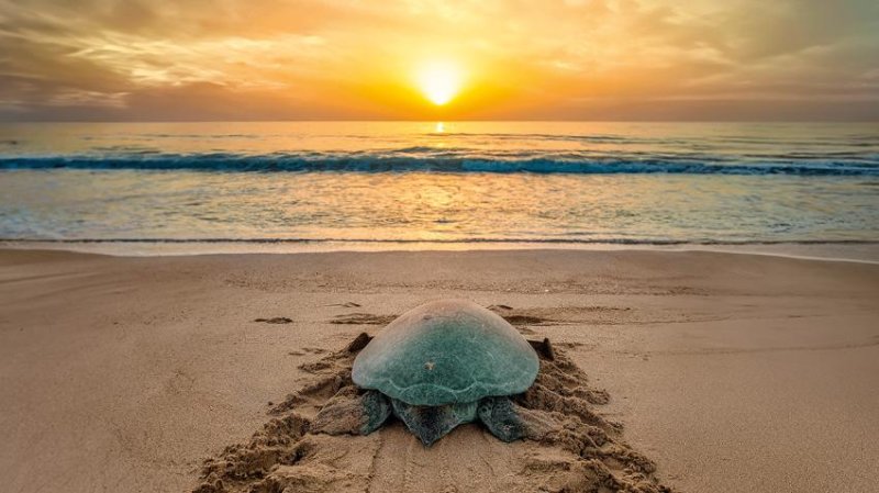 Emírségek és Omán Körutazás 8 Nap / 7 éj