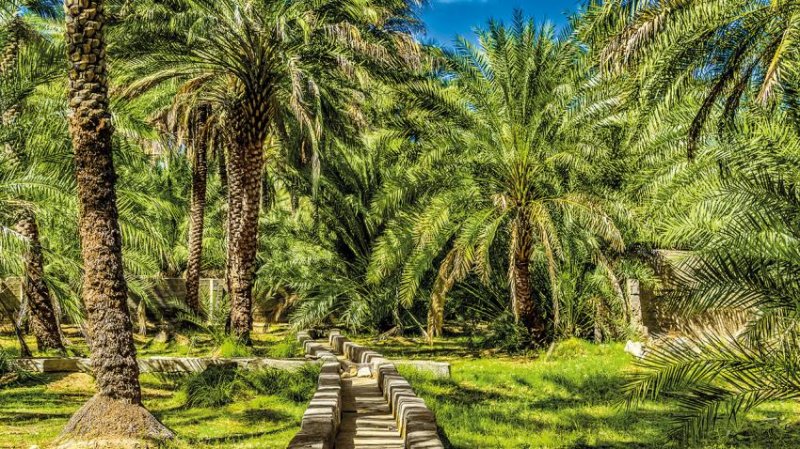 Emírségek és Omán Körutazás 8 Nap / 7 éj