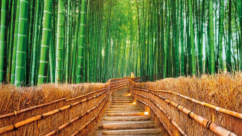 Japán A Felkelő Nap Országának Varázsa 10 Nap / 8 éj