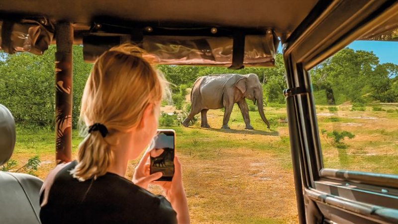 Kenya – Tanzánia Szafari Kalandtúra 11 Nap / 8 éj