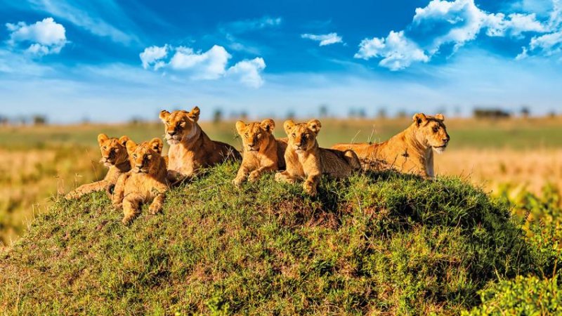 Kenya – Tanzánia Szafari Kalandtúra 11 Nap / 8 éj