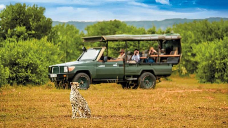 Kenya – Tanzánia Szafari Kalandtúra 11 Nap / 8 éj