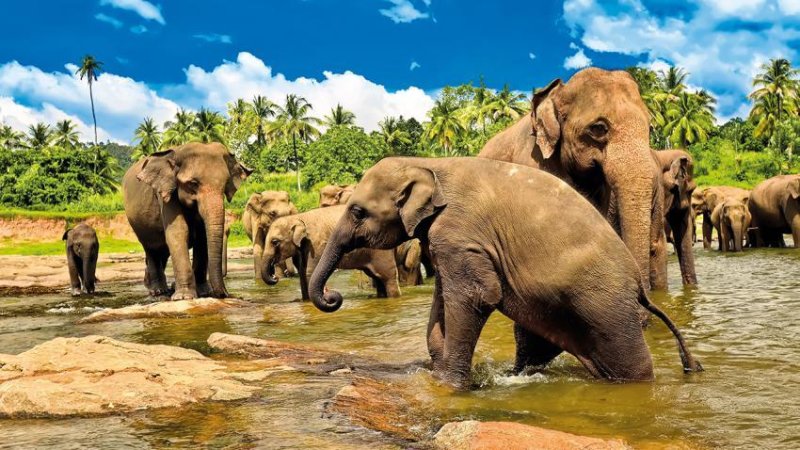 Srí Lanka-körutazás Tengerparti Hosszabbítással 14 Nap / 13 éj