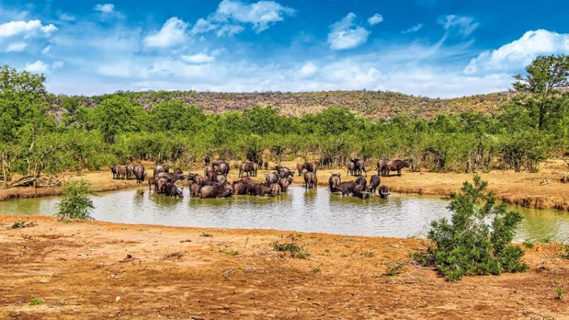 Dél-afrika körutazás