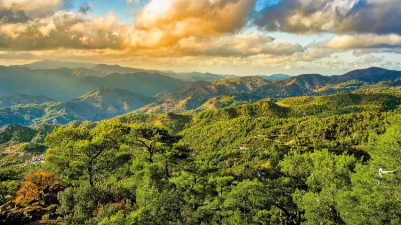 Dél-ciprus csillagtúra