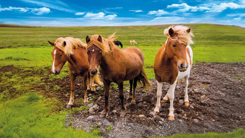 Izlandi csillagtúra körutazás