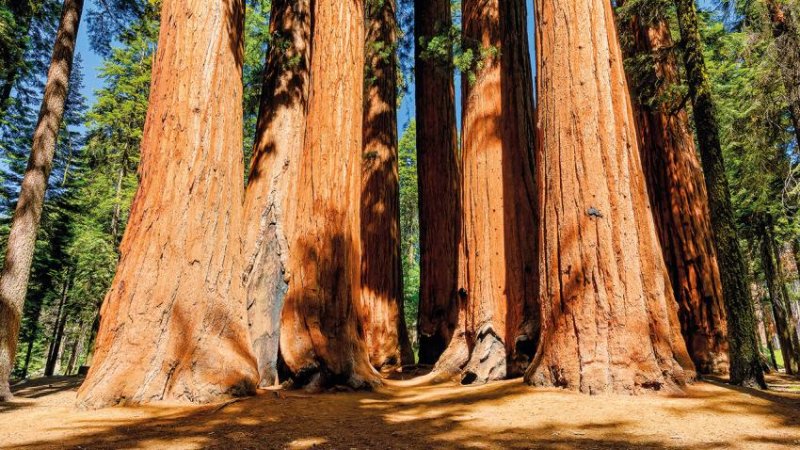 Körutazás a Nyugati Parton