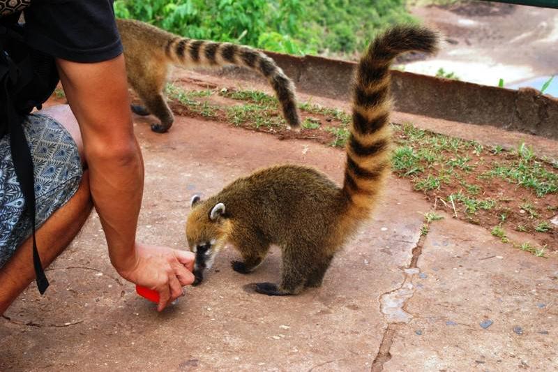 Argentína Uruguay Brazília Körutazás