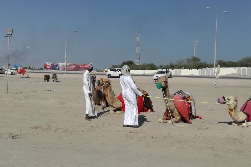 Az Arab-öböl Gyöngyszeme, Doha