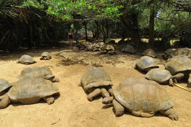 Az Éden Illatos ültetvényei - Mauritius és A Seychelles