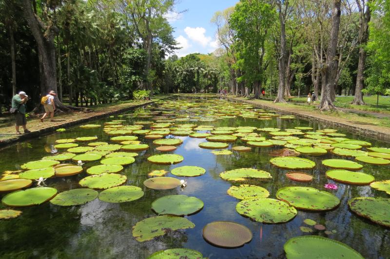Az Éden Illatos ültetvényei - Mauritius és A Seychelles