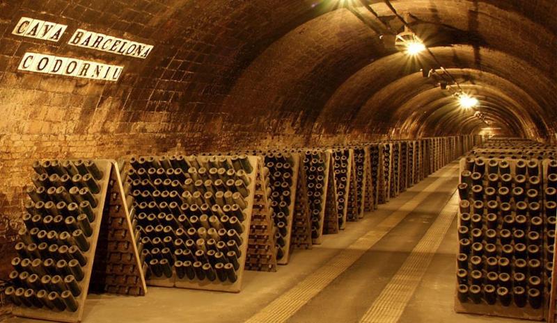 Baszkföld - Bor és Kultúra