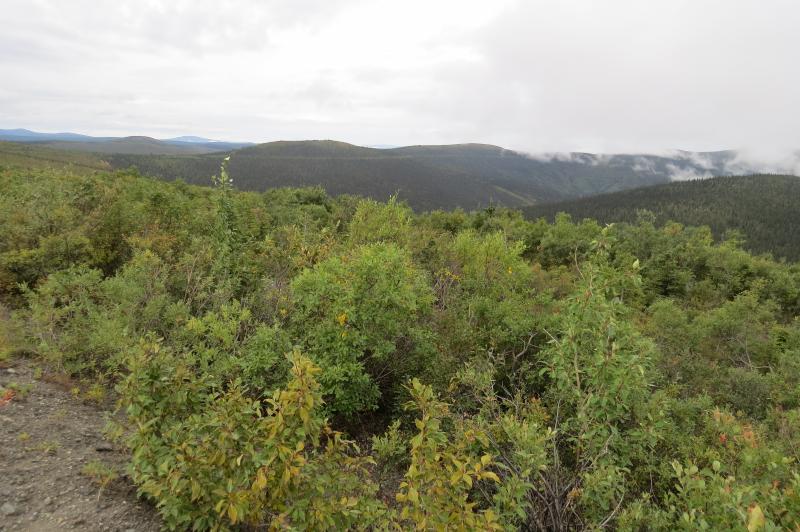 Észak-Kanada és Alaszka Vadregényes Tájain körutazás