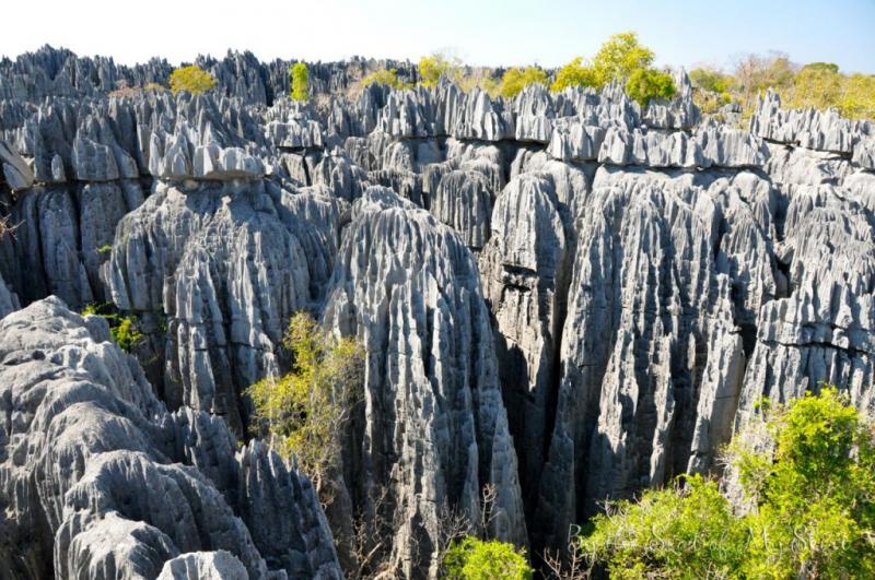 Észak-Madagaszkár, A Nyolcadik Kontinens Trópusi Világa