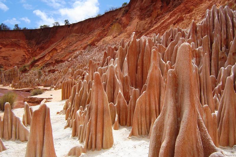 Észak-Madagaszkár, A Nyolcadik Kontinens Trópusi Világa