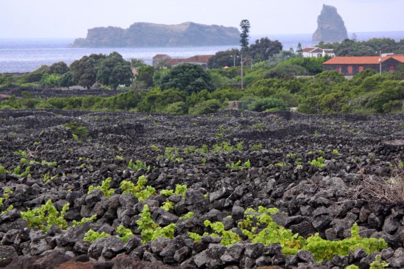 Kalandozások Az Azori-szigeteken Lisszaboni Városnézéssel