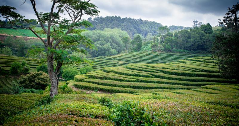 Kalandozások Az Azori-szigeteken Lisszaboni Városnézéssel