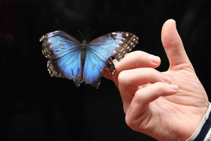 Közép-Amerika Nagykörút - Panamától Mexikóig