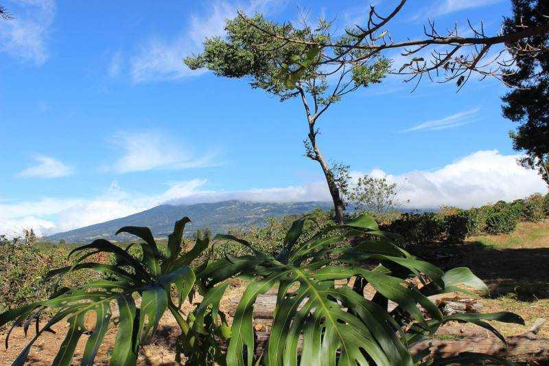 Közép-Amerika Nagykörút - Panamától Mexikóig