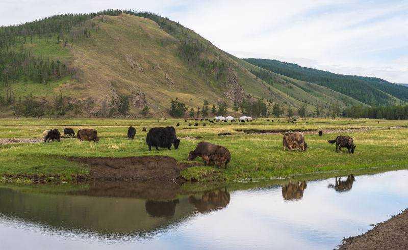 Mongólia és A Bajkál-tó Csodálatos Vidékein körutazás