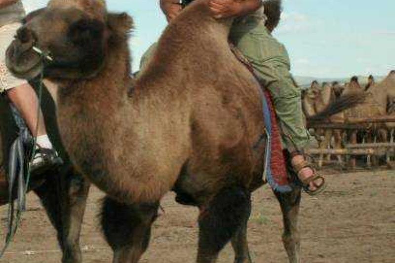 Mongólia és A Bajkál-tó Csodálatos Vidékein körutazás