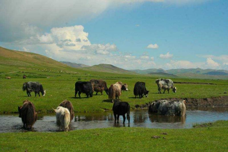 Mongólia és A Bajkál-tó Csodálatos Vidékein körutazás