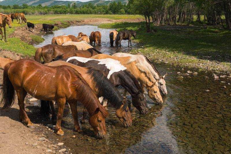 Mongólia és A Bajkál-tó Csodálatos Vidékein körutazás