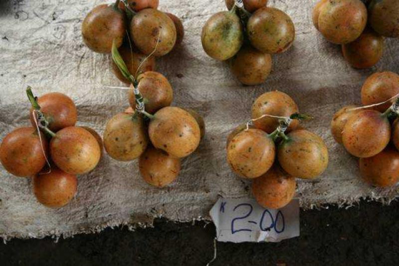 Pápua Új-Guinea Felfedezése Goroka Fesztivál Idején körutazás