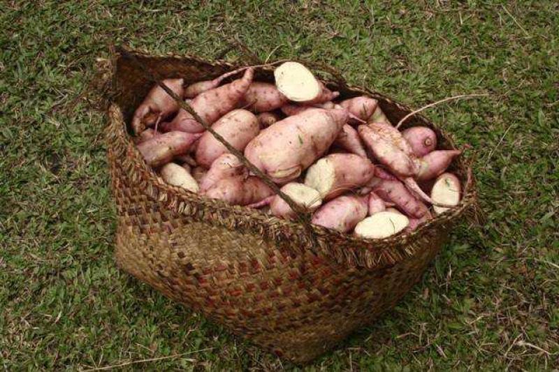 Pápua Új-Guinea Felfedezése Goroka Fesztivál Idején körutazás