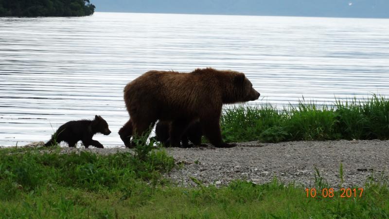 A Kamcsatkai Vulkánoktól A Szibériai Tigrisig körutazás