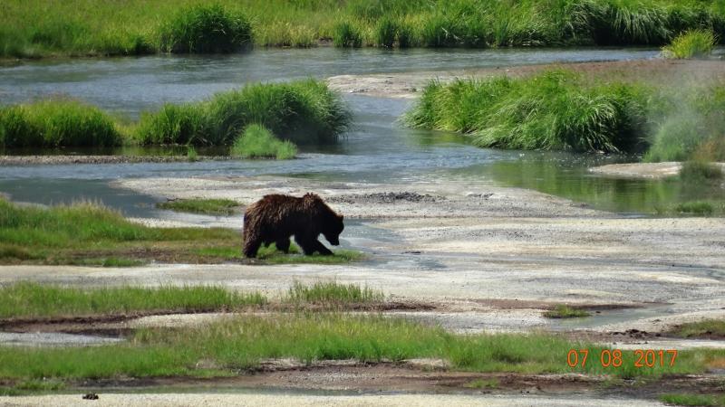 A Kamcsatkai Vulkánoktól A Szibériai Tigrisig körutazás