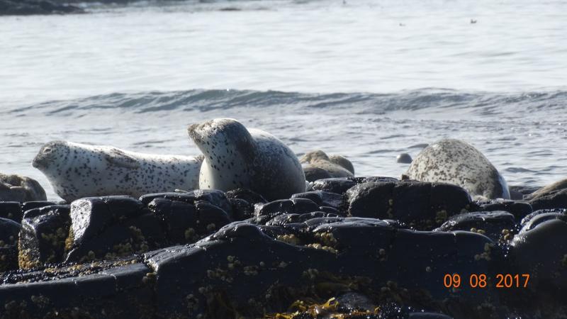 A Kamcsatkai Vulkánoktól A Szibériai Tigrisig körutazás