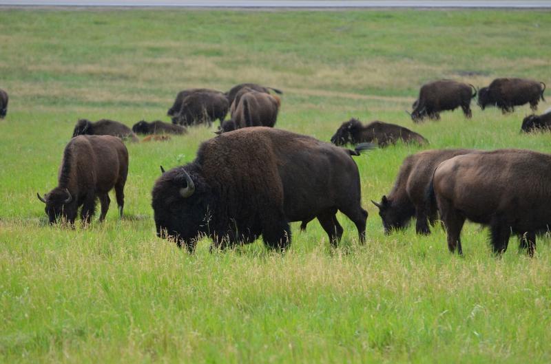 Amerika Nemzeti Parkjai I. körutazás
