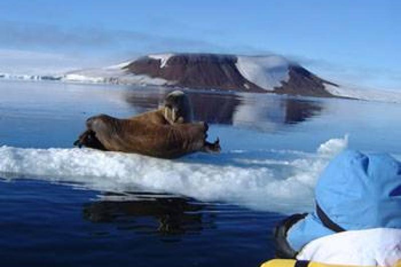 Atomjégtörövel az Északi-sarkra körutazás