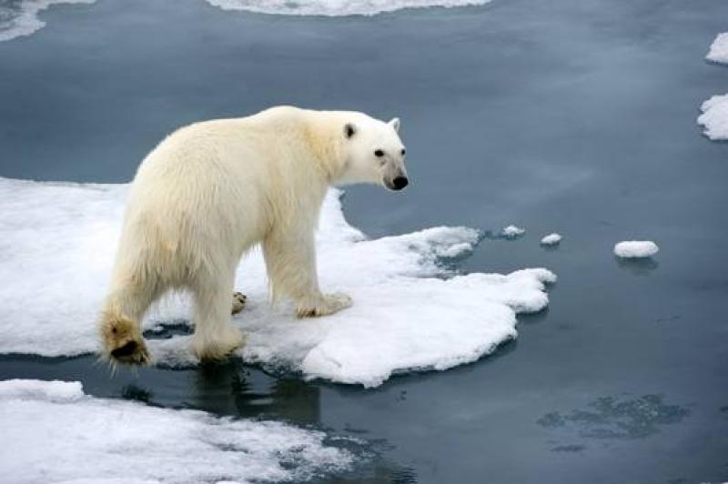 Atomjégtörövel az Északi-sarkra körutazás