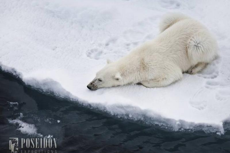 Atomjégtörövel az Északi-sarkra körutazás