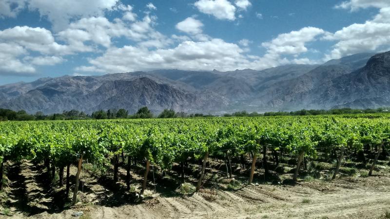 Bortúra Az Andok Lábainál: Chile-Argentina körutazás