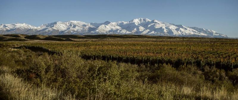 Bortúra Az Andok Lábainál: Chile-Argentina körutazás