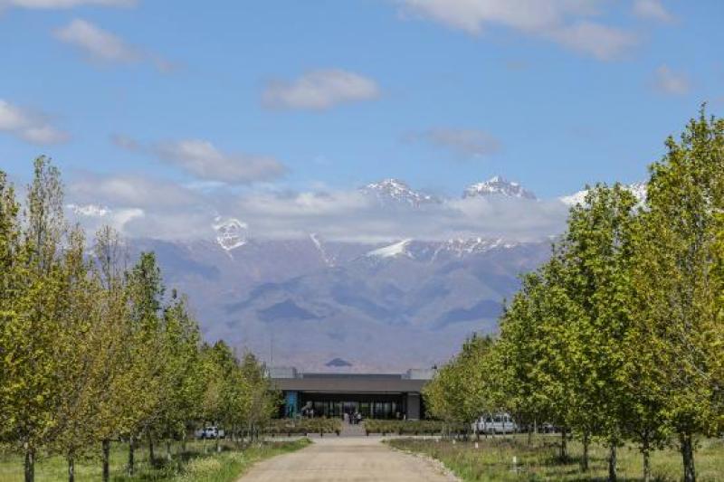 Bortúra Az Andok Lábainál: Chile-Argentina körutazás