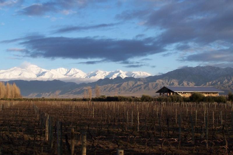 Bortúra Az Andok Lábainál: Chile-Argentina körutazás