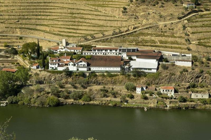 Bortúra Portoban és A Douro-völgyében körutzás