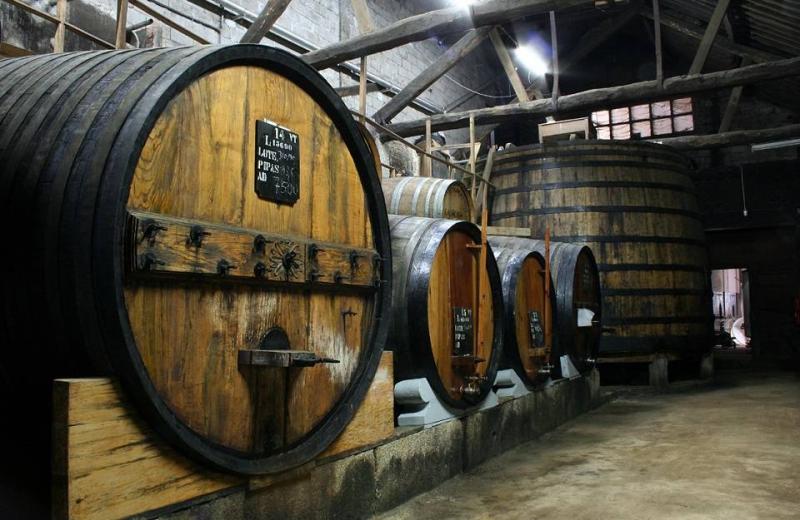 Bortúra Portoban és A Douro-völgyében körutzás