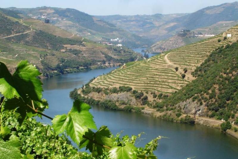 Bortúra Portoban és A Douro-völgyében körutzás