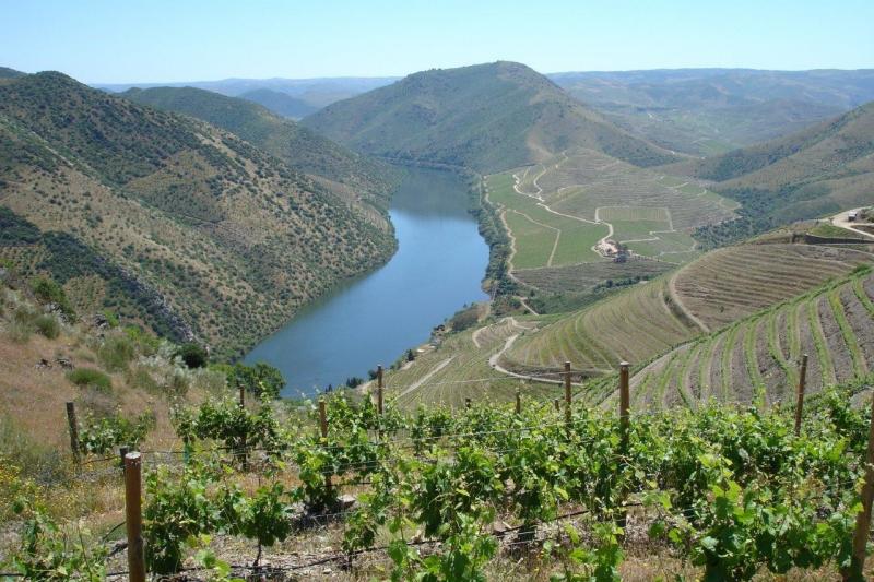 Bortúra Portoban és A Douro-völgyében körutzás